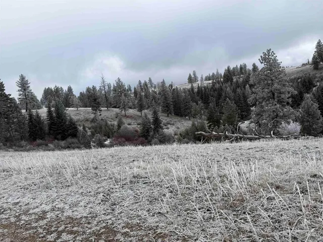 $1,280,000 | Tbd Billy Creek Road, Cottonwood, ID 83522