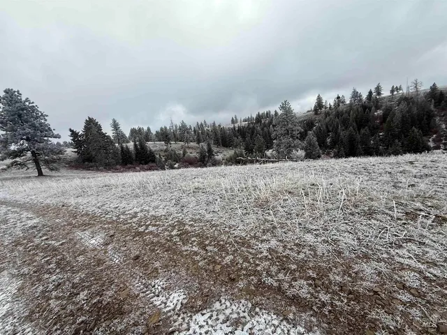 $1,280,000 | Tbd Billy Creek Road, Cottonwood, ID 83522