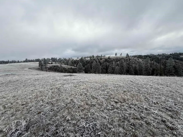 $1,280,000 | Tbd Billy Creek Road, Cottonwood, ID 83522