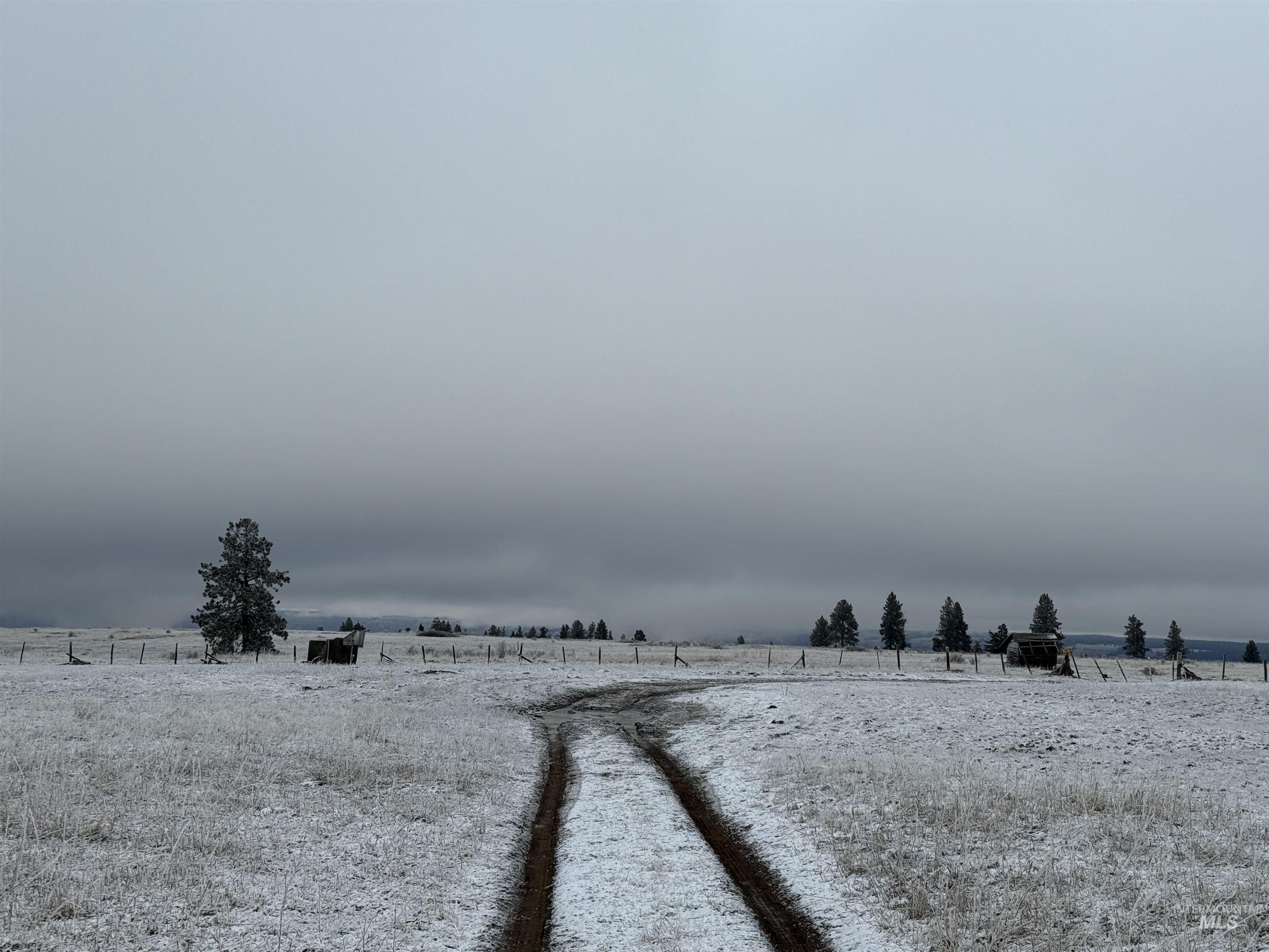 Tbd Billy Creek Road Cottonwood, ID 83522 - Photo 22 of 39 View of yard with a view of countryside