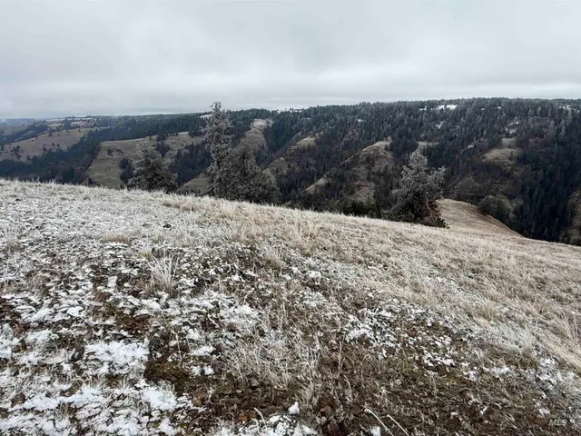 $1,280,000 | Tbd Billy Creek Road, Cottonwood, ID 83522