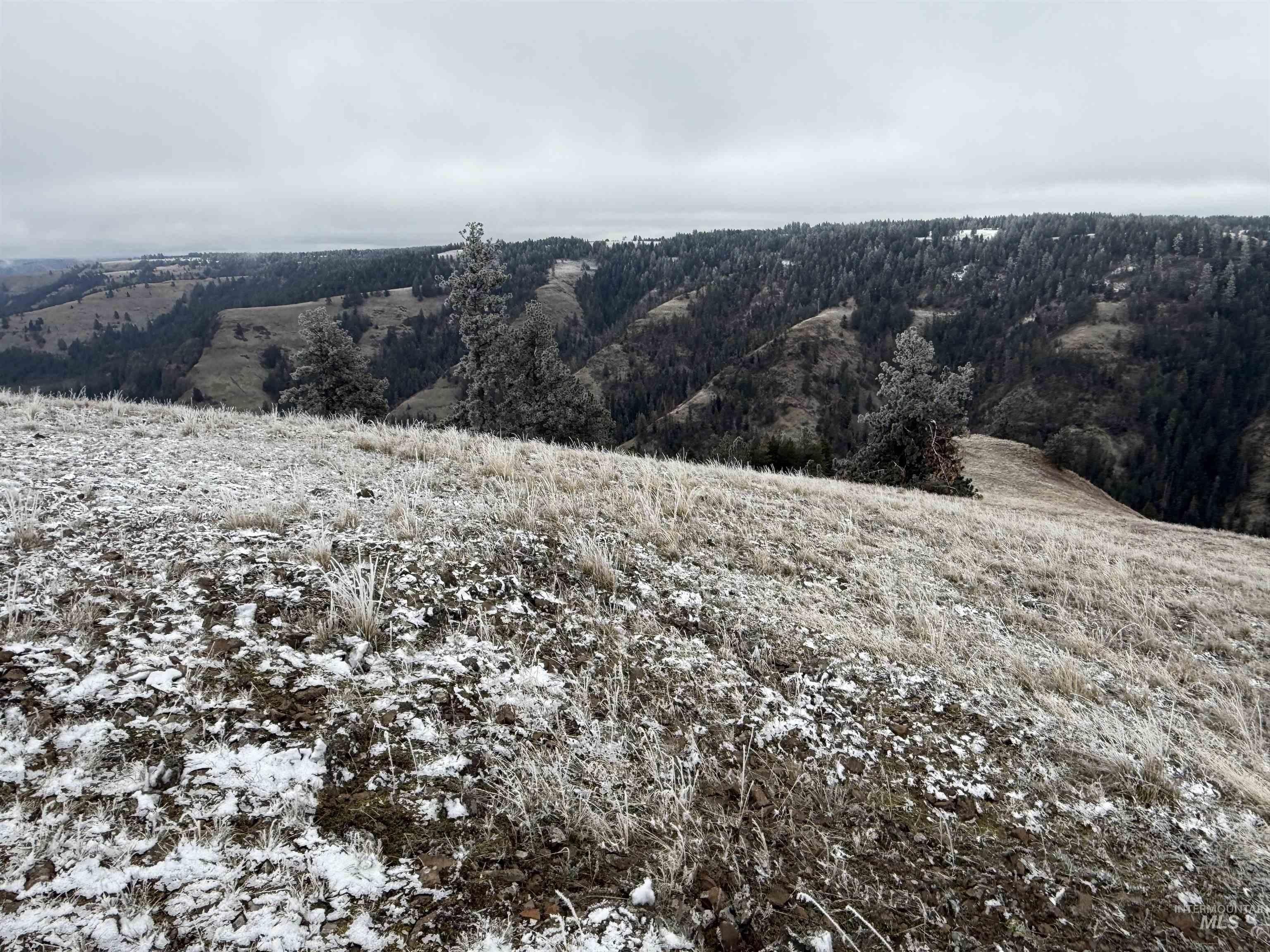 Tbd Billy Creek Road Cottonwood, ID 83522 - Photo 23 of 39 View of mountain background