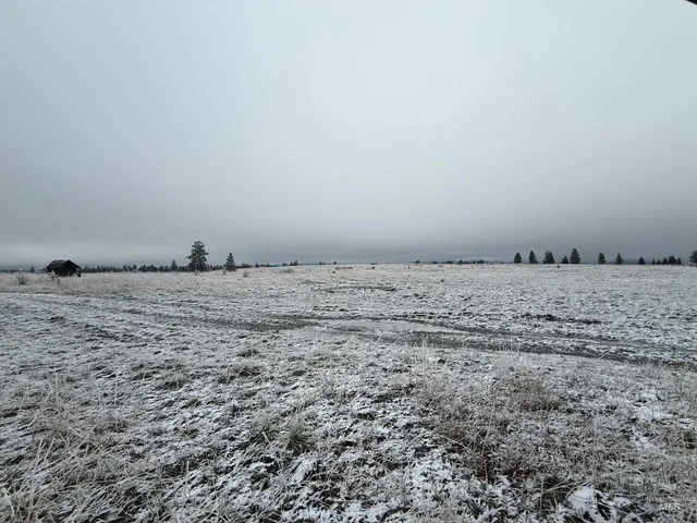 $1,280,000 | Tbd Billy Creek Road, Cottonwood, ID 83522