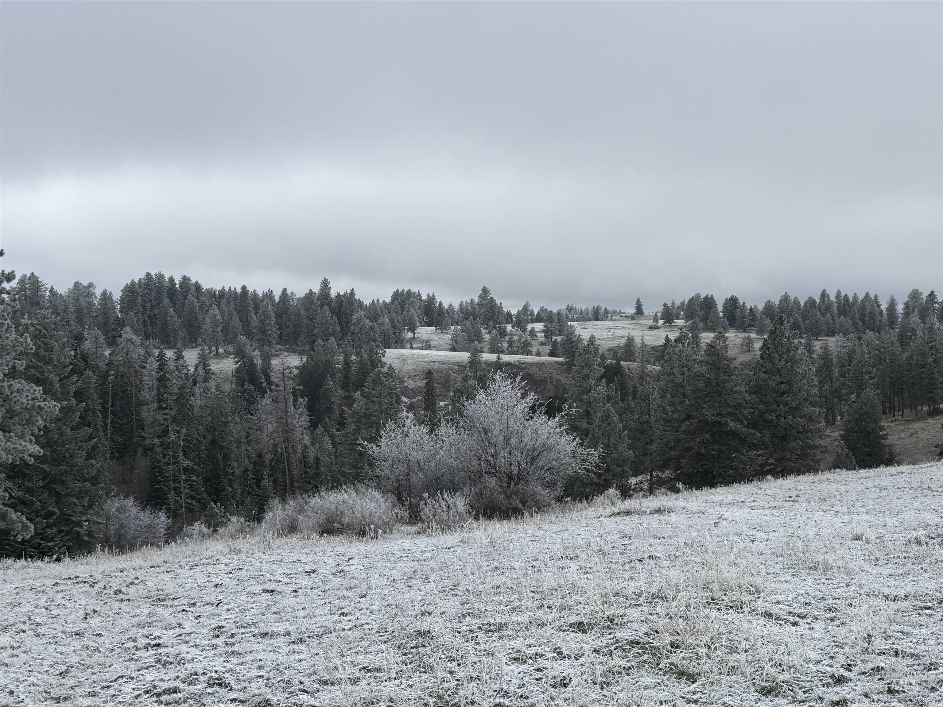 Tbd Billy Creek Road Cottonwood, ID 83522 - Photo 25 of 39 Snowy landscape with a forest view