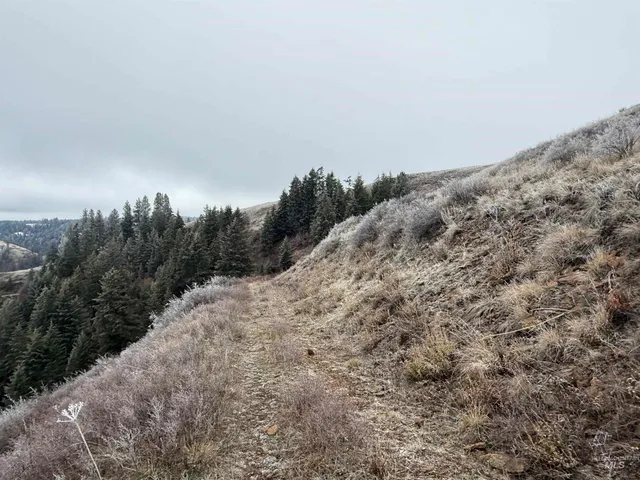 $1,280,000 | Tbd Billy Creek Road, Cottonwood, ID 83522