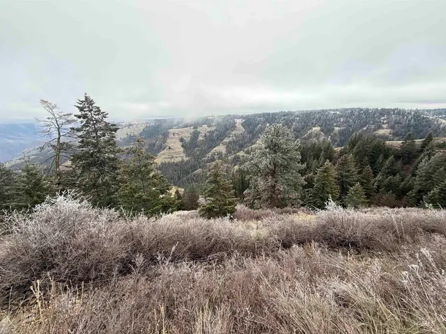 $1,280,000 | Tbd Billy Creek Road, Cottonwood, ID 83522
