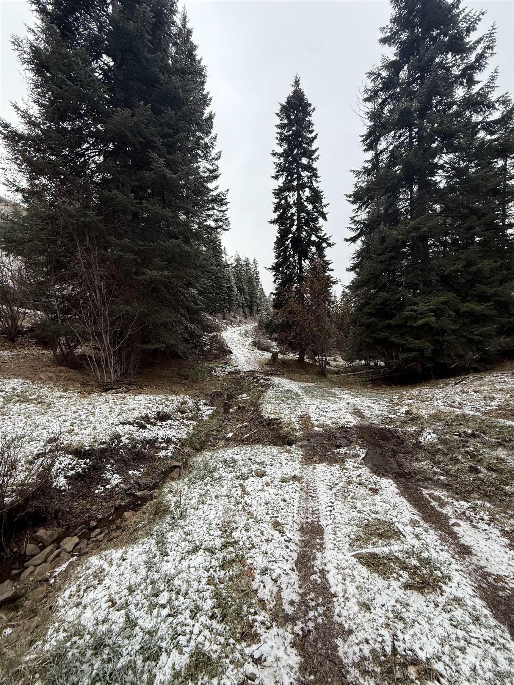 Tbd Billy Creek Road Cottonwood, ID 83522 - Photo 29 of 39 Snowy landscape