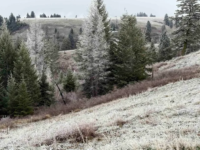 $1,280,000 | Tbd Billy Creek Road, Cottonwood, ID 83522