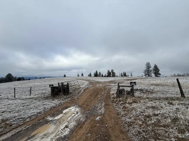 $1,280,000 | Tbd Billy Creek Road, Cottonwood, ID 83522