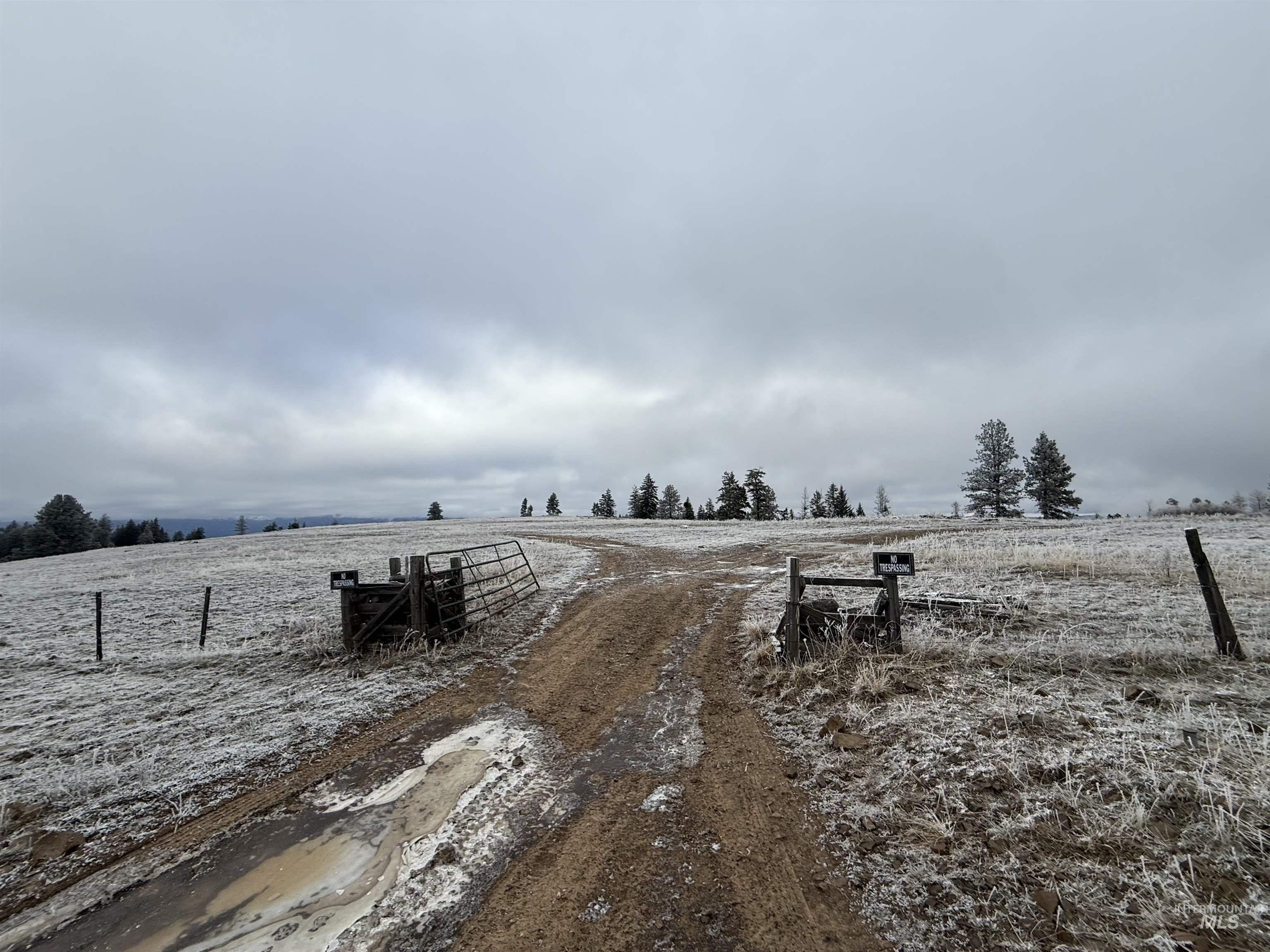 Tbd Billy Creek Road Cottonwood, ID 83522 - Photo 3 of 39 View of home's community featuring a view of countryside