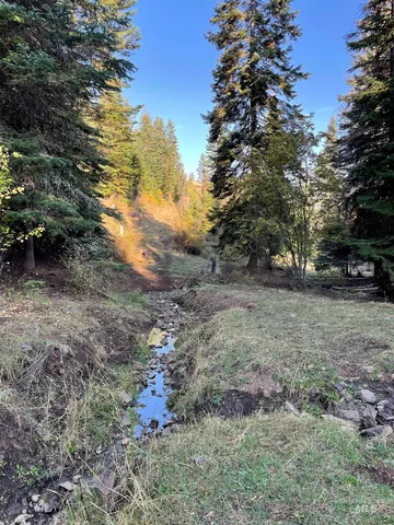 $1,280,000 | Tbd Billy Creek Road, Cottonwood, ID 83522