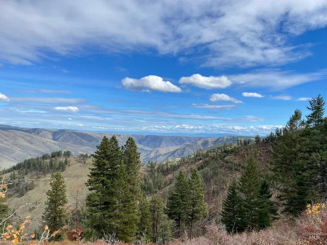 $1,280,000 | Tbd Billy Creek Road, Cottonwood, ID 83522