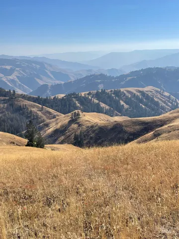 $1,280,000 | Tbd Billy Creek Road, Cottonwood, ID 83522