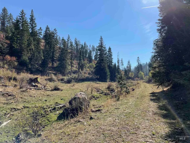 $1,280,000 | Tbd Billy Creek Road, Cottonwood, ID 83522