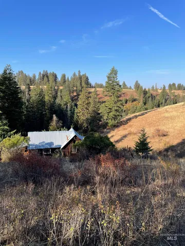 $1,280,000 | Tbd Billy Creek Road, Cottonwood, ID 83522