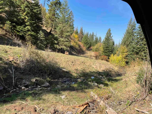 $1,280,000 | Tbd Billy Creek Road, Cottonwood, ID 83522