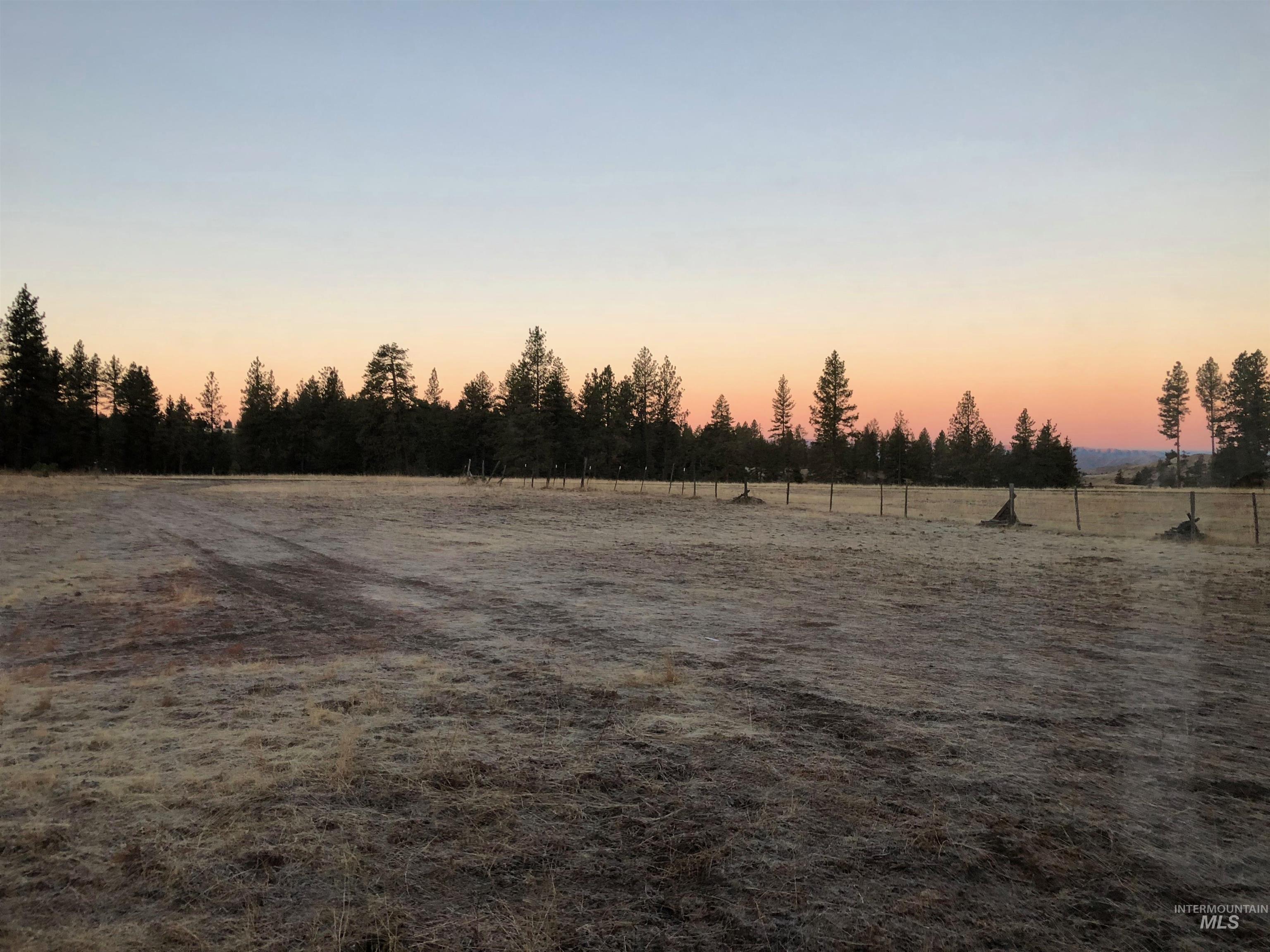 Tbd Billy Creek Road Cottonwood, ID 83522 - Photo 4 of 39 Yard at dusk featuring a rural view
