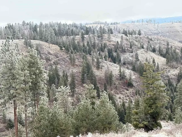 $1,280,000 | Tbd Billy Creek Road, Cottonwood, ID 83522