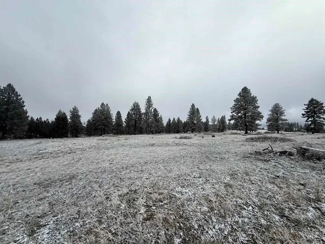 $1,280,000 | Tbd Billy Creek Road, Cottonwood, ID 83522