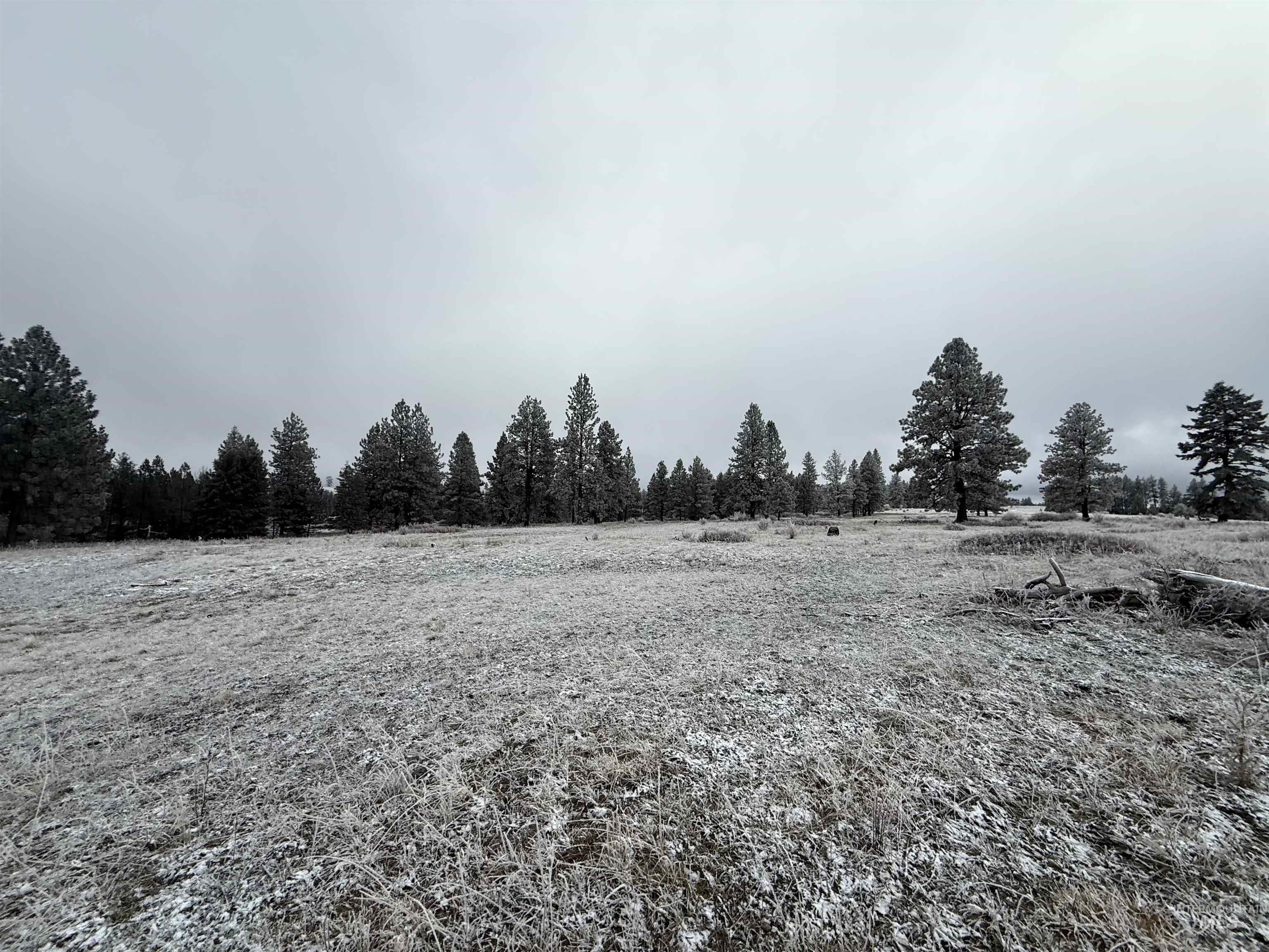 Tbd Billy Creek Road Cottonwood, ID 83522 - Photo 7 of 39 View of undeveloped land featuring rural landscape