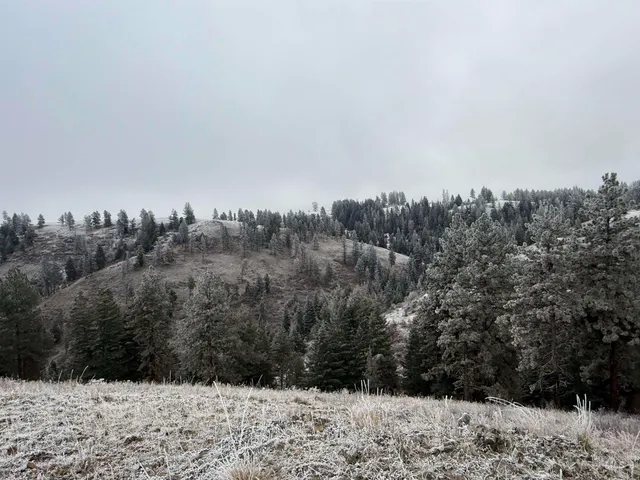 $1,280,000 | Tbd Billy Creek Road, Cottonwood, ID 83522