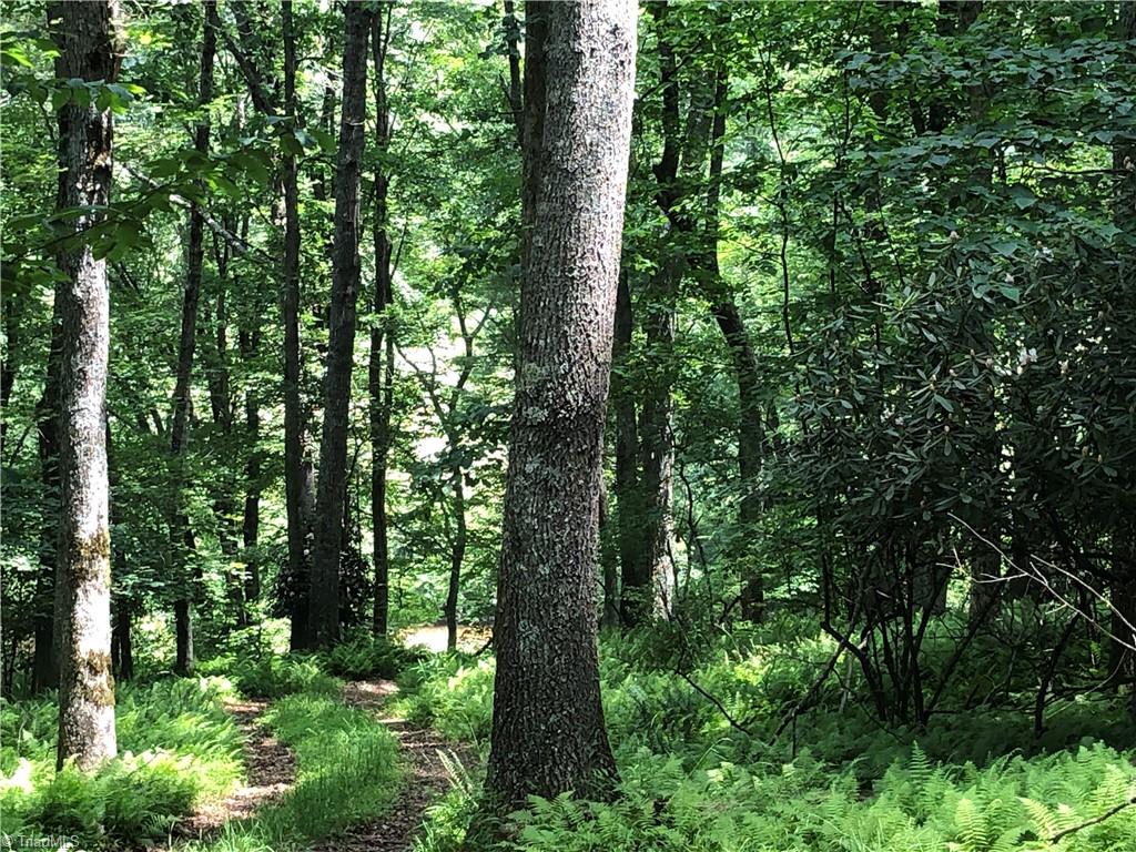 900 Vass Mill Road Laurel Fork, VA 24352 - Photo 31 of 35 Gallery Image 31