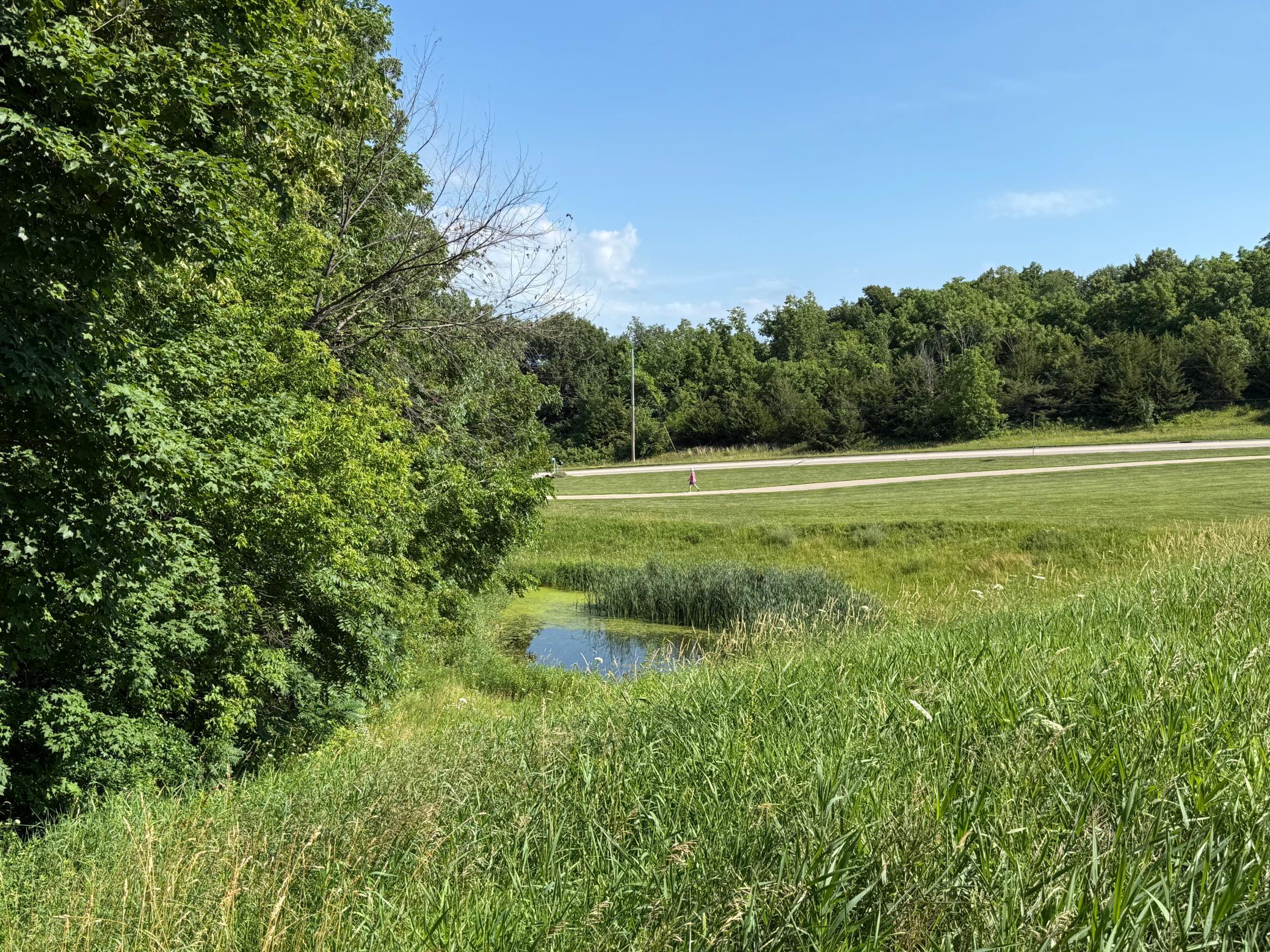 532 Cannon Way Dundas, MN 55019 - Photo 9 of 38