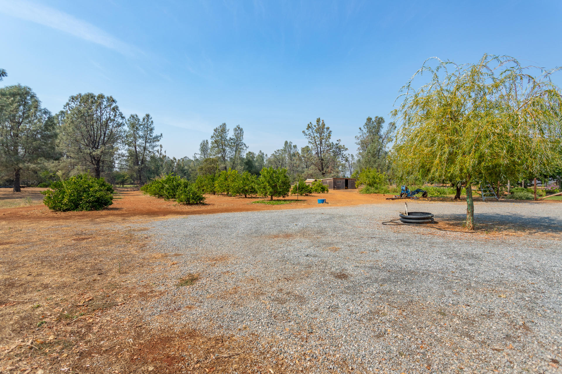 5560 Monte Vista Road Anderson, CA 96007 - Photo 27 of 42 72 orchard