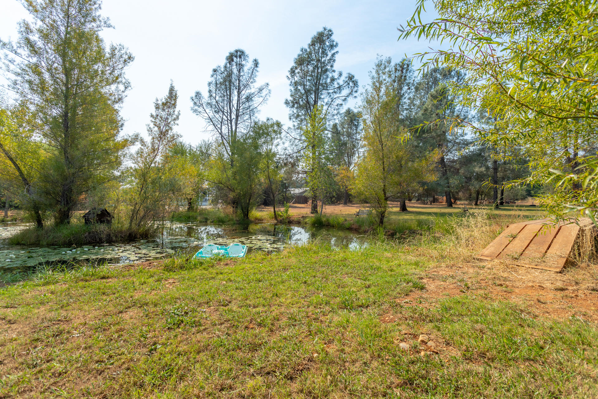5560 Monte Vista Road Anderson, CA 96007 - Photo 30 of 42 75 pond