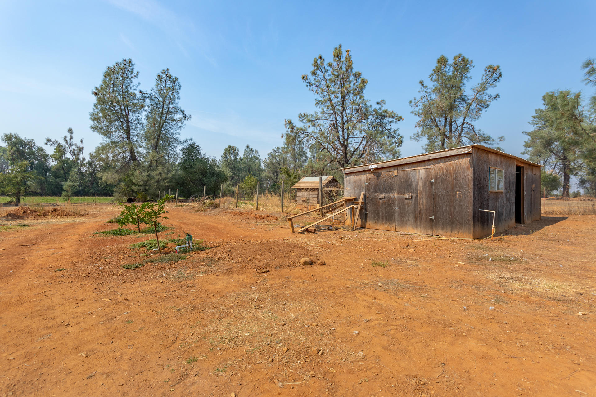 5560 Monte Vista Road Anderson, CA 96007 - Photo 33 of 42 100 shed and chicken coop