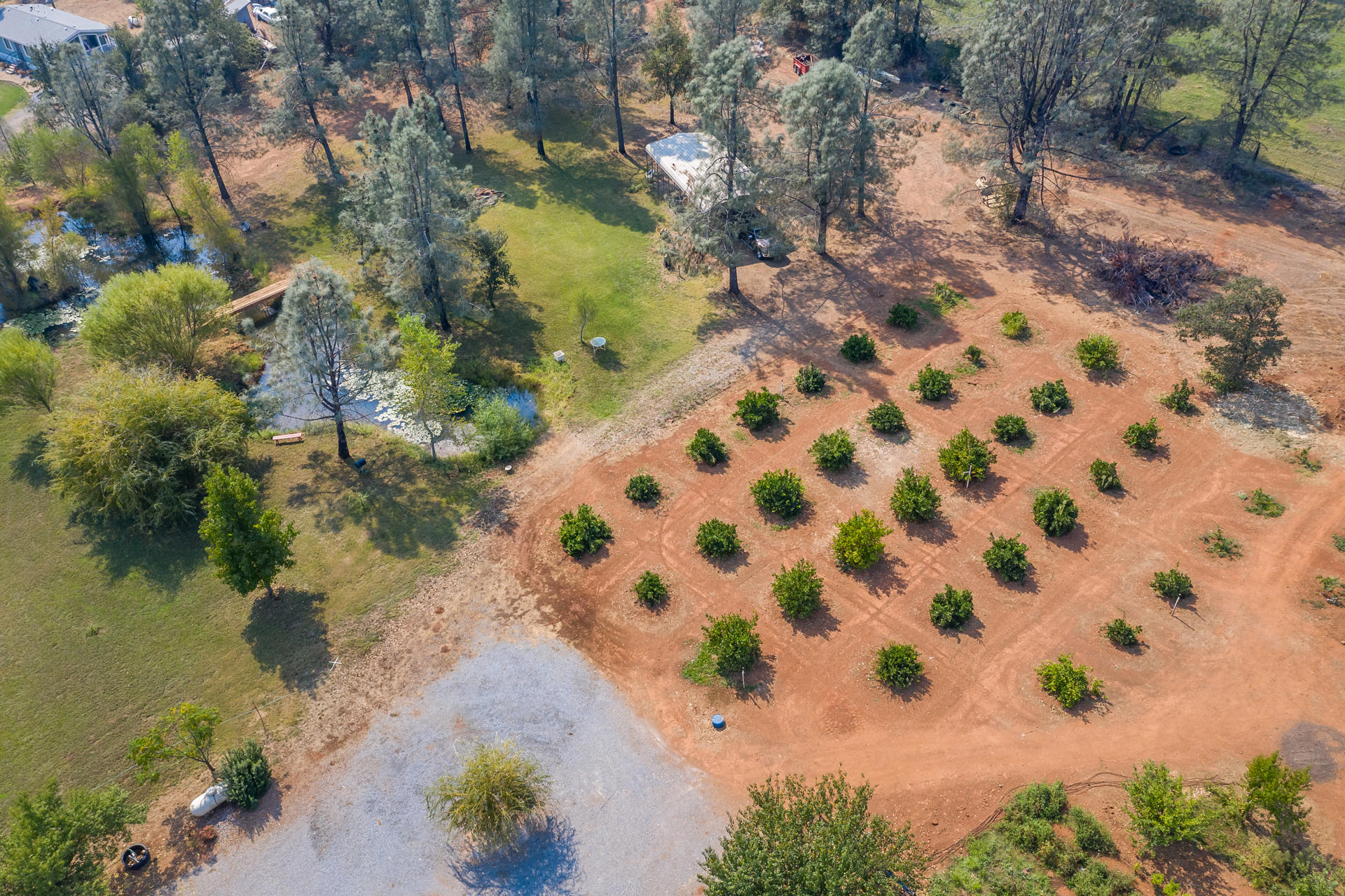 5560 Monte Vista Road Anderson, CA 96007 - Photo 36 of 42 aerial orchard and pond