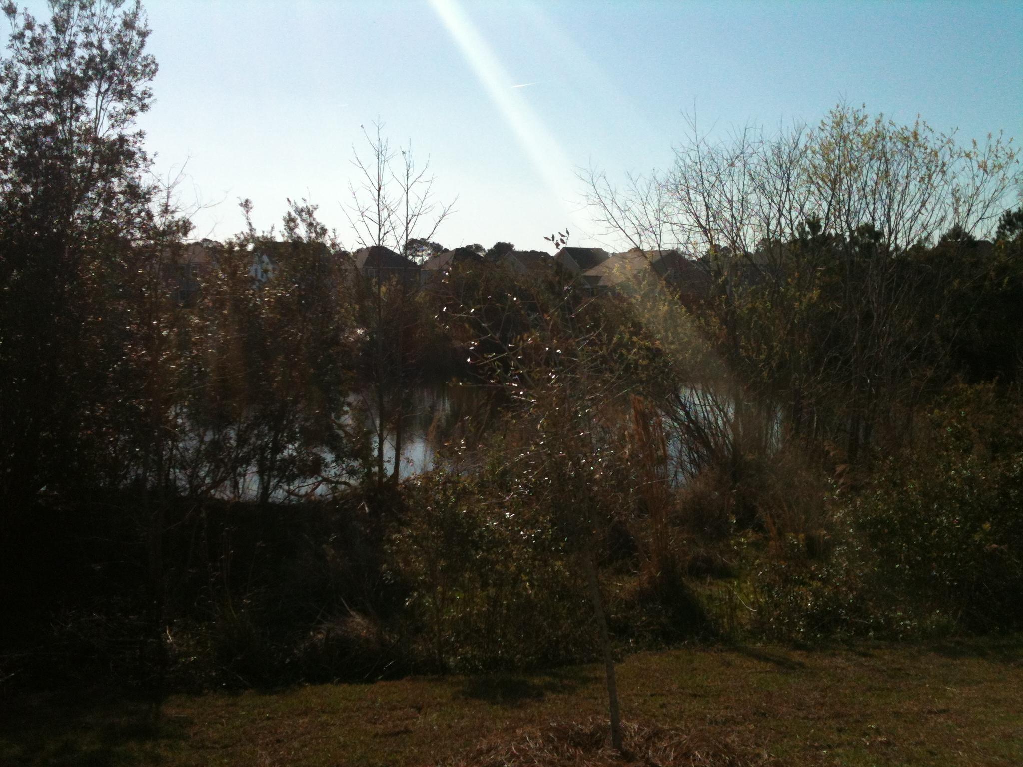 1533 Chastain Road Johns Island, SC 29455 - Photo 14 of 17 2017-03-03 15.34.36