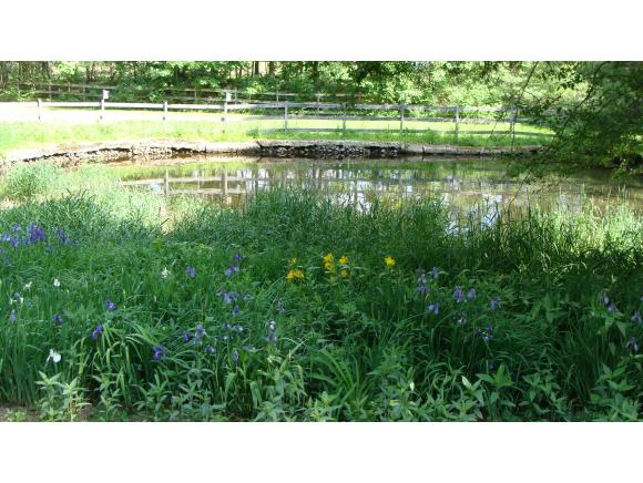 2 Ponemah Hill Road Amherst, NH 03031 - Photo 22 of 24
