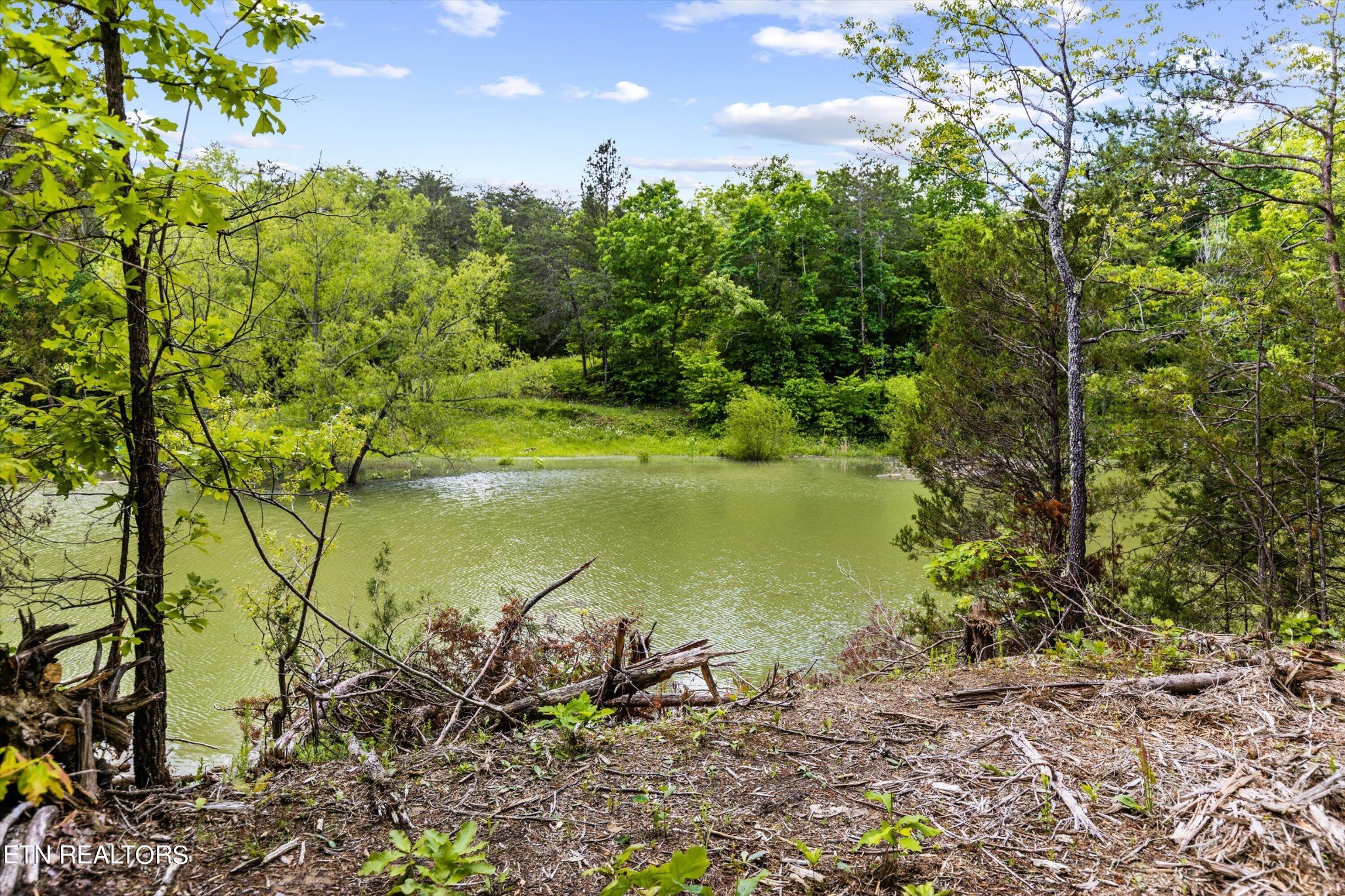 1741 Gator Point Road Sevierville, TN 37876 - Photo 4 of 16 Gallery Image 4