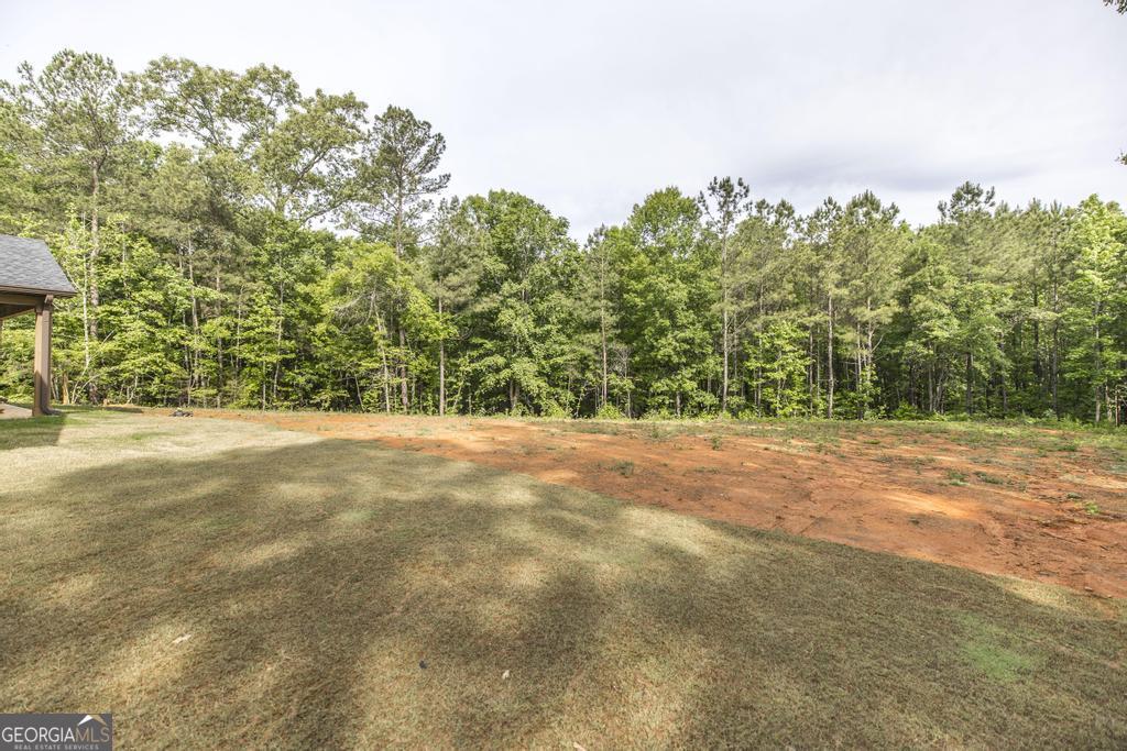 1204 Teagle Road Jackson, GA 30233 - Photo 37 of 37