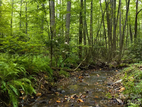 a view of a green field
