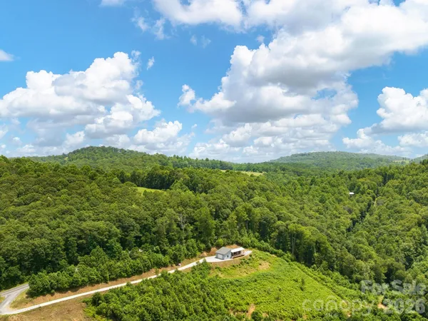 a view of a bunch of trees in a field