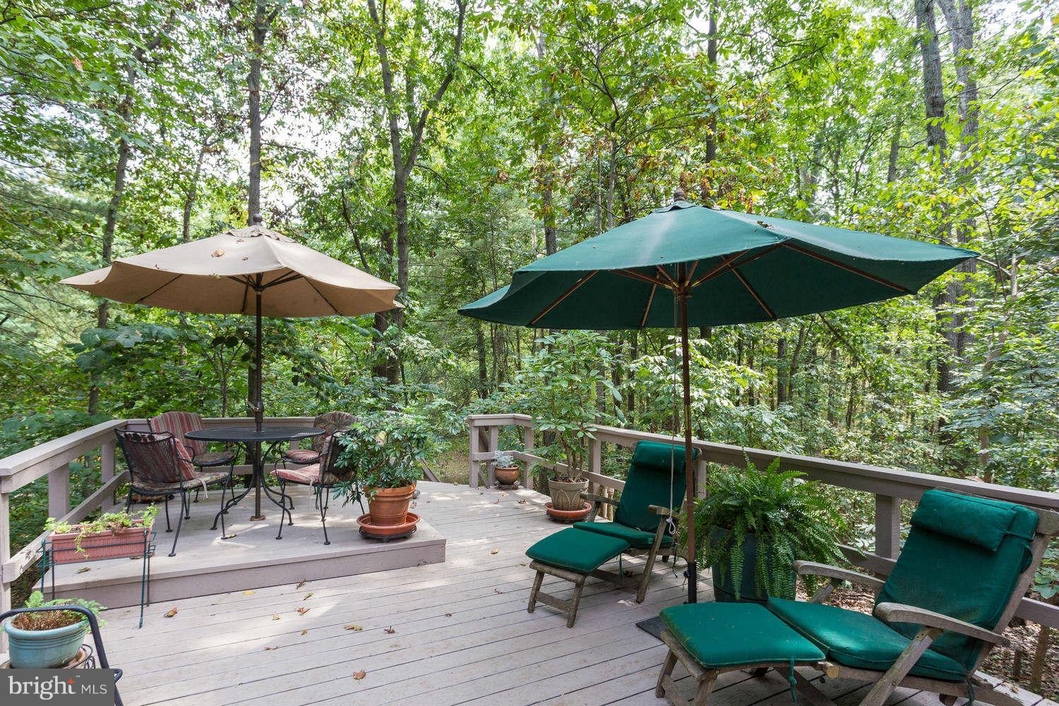 40010 New Road Aldie, VA 20105 - Photo 22 of 30 Spacious rear deck with concealed hot tub