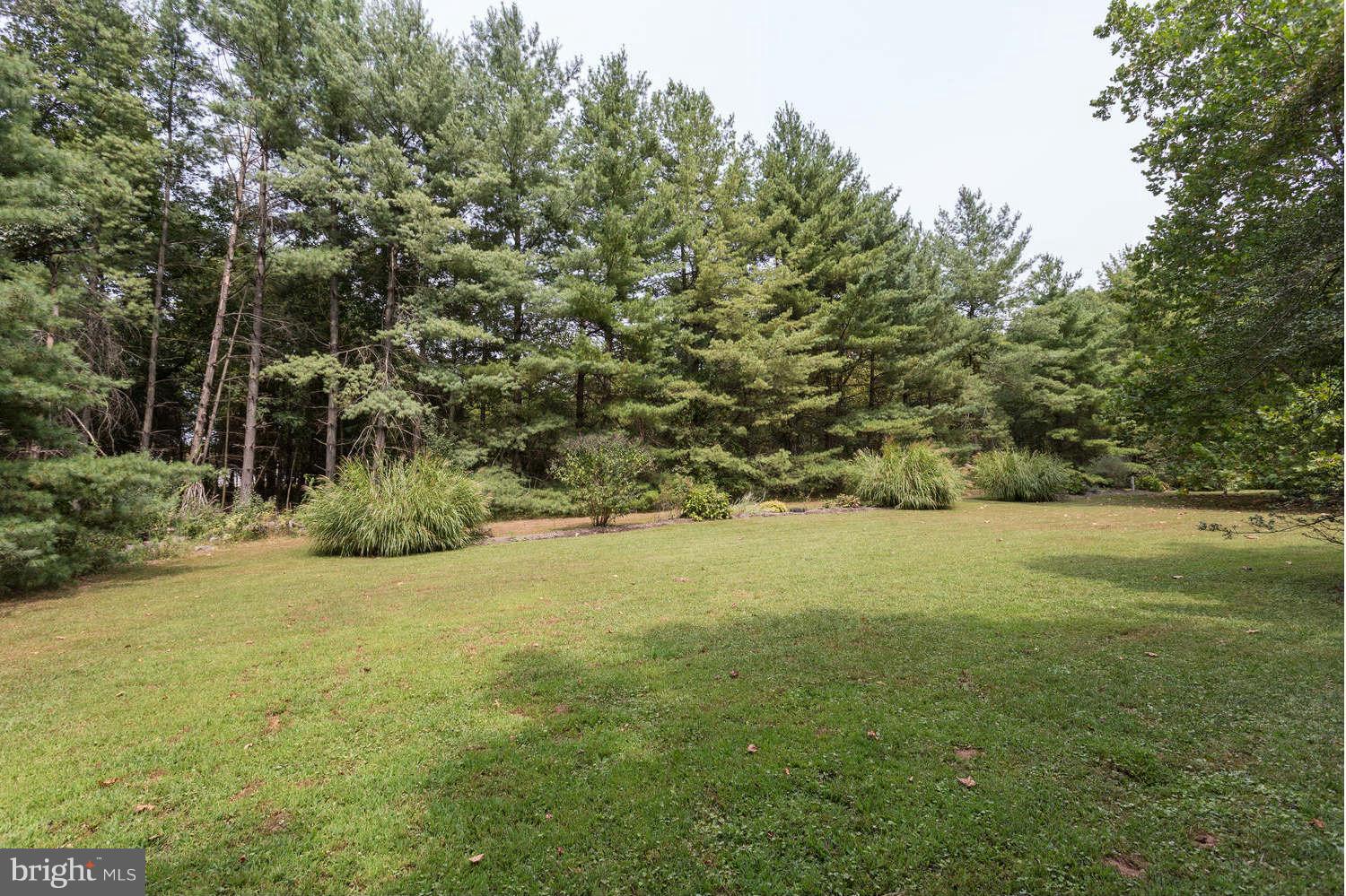 40010 New Road Aldie, VA 20105 - Photo 25 of 30 Large open area connects to trails