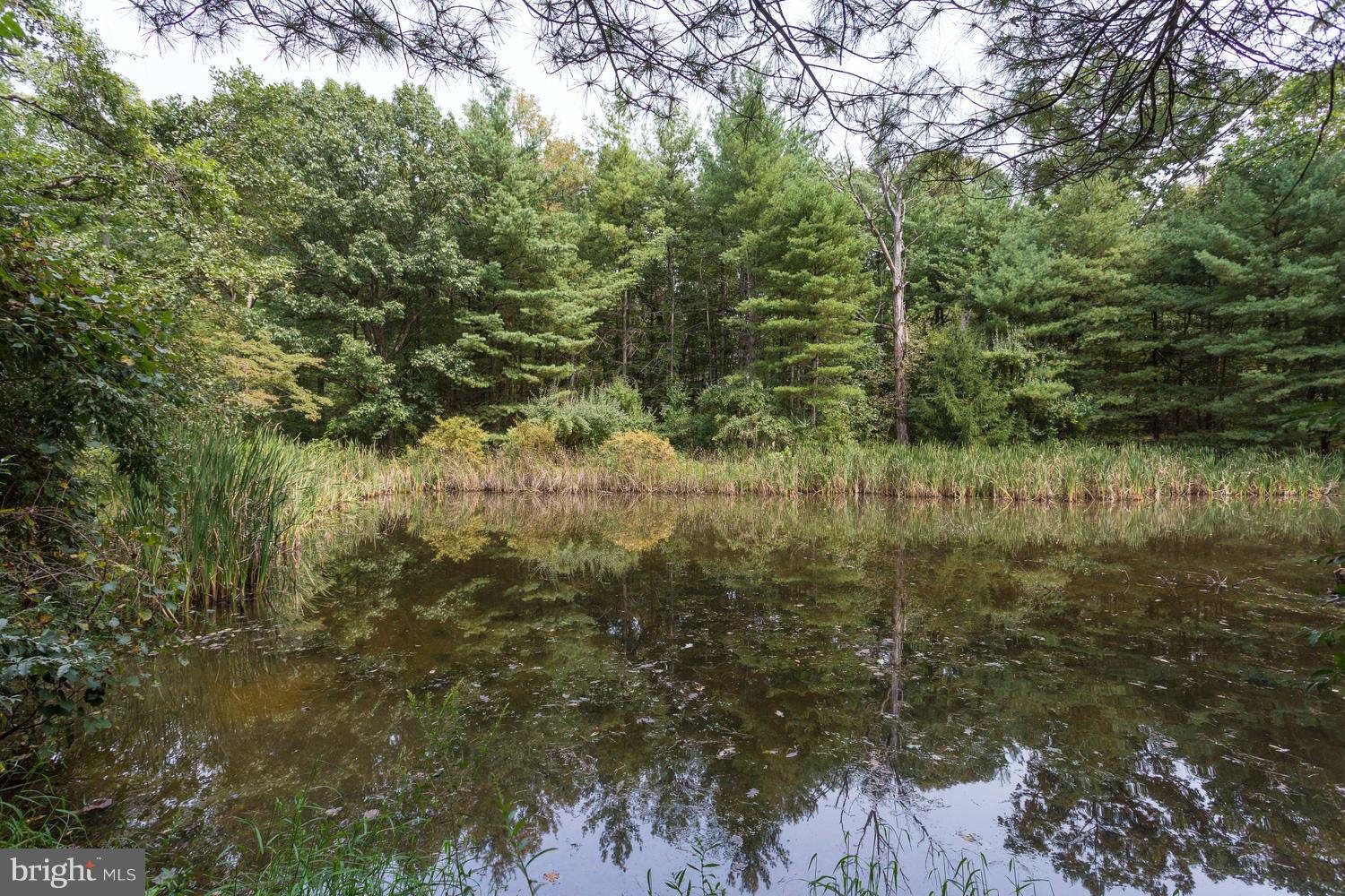 40010 New Road Aldie, VA 20105 - Photo 26 of 30 Stocked pond attracts wildlife