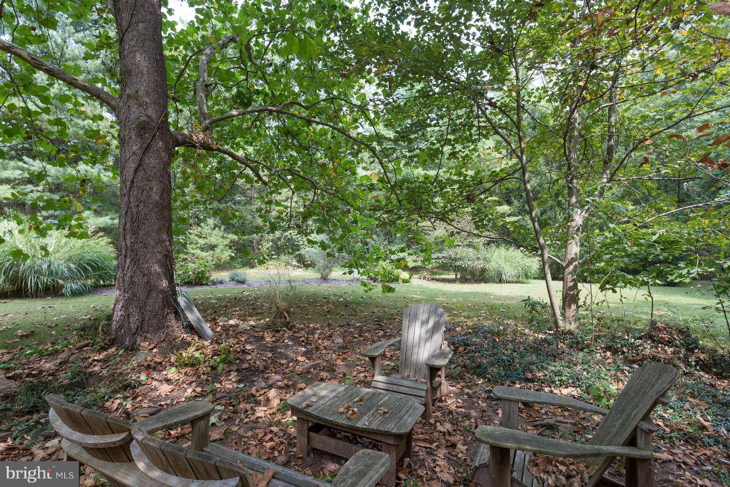 40010 New Road Aldie, VA 20105 - Photo 27 of 30 Seating area under massive Sycamore tree