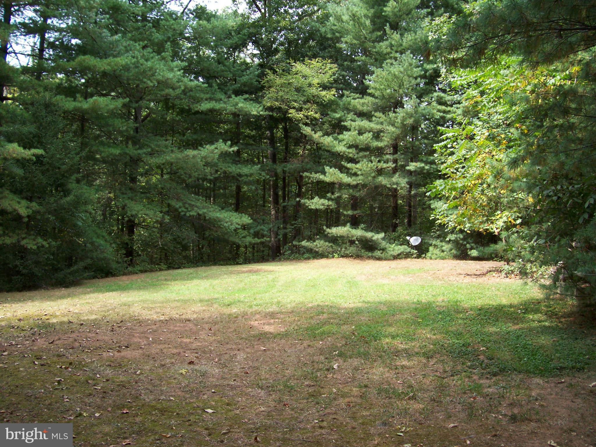 40010 New Road Aldie, VA 20105 - Photo 28 of 30 Open area..croquet anyone?
