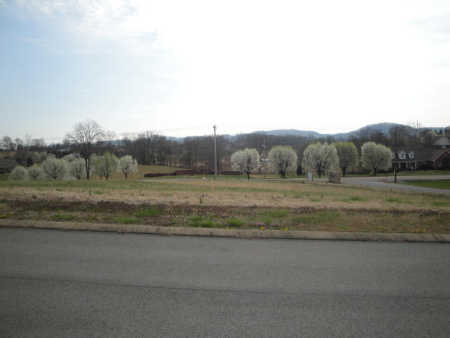 Lot 4 Pocahontas Lane Rutledge, TN 37861 - Photo 2 of 2 Lot 4