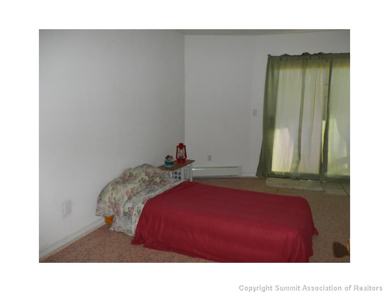 1031 Center Road Fairplay, CO 80440 - Photo 4 of 14 Other.