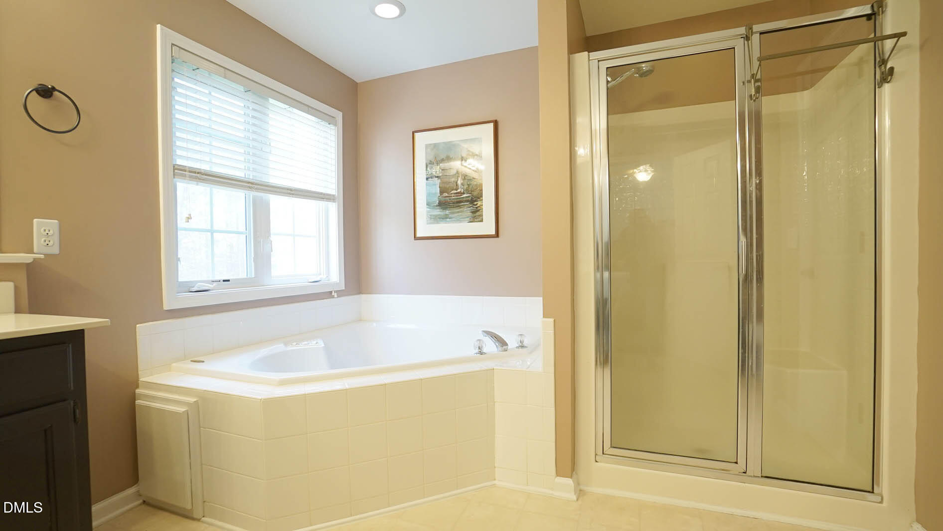311 Inkster Cove Raleigh, NC 27603 - Photo 20 of 39 DSC09258