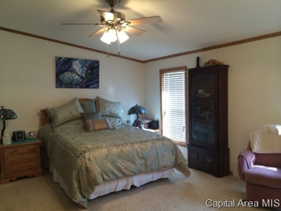 887 Kamm Road Springfield, IL 62707 - Photo 12 of 18