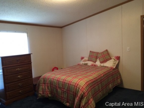 887 Kamm Road Springfield, IL 62707 - Photo 15 of 18