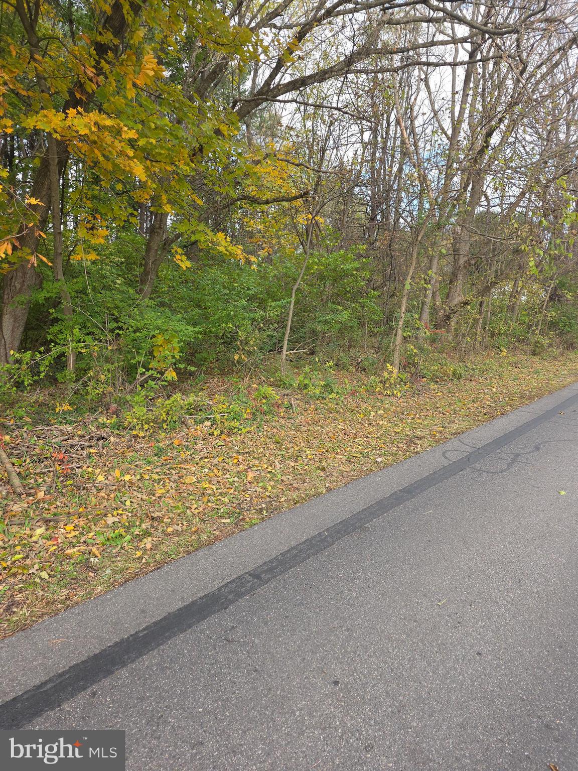 13800 Paradise Church Road Hagerstown, MD 21742 - Photo 2 of 3 a view of a yard with wooden fence