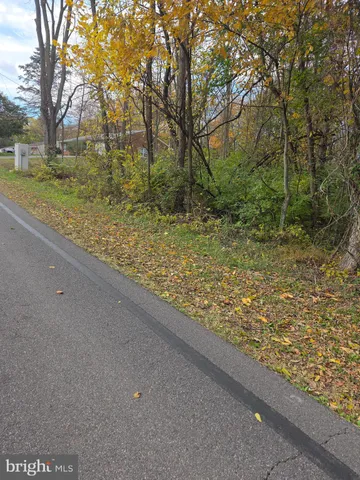 a view of a yard with large trees