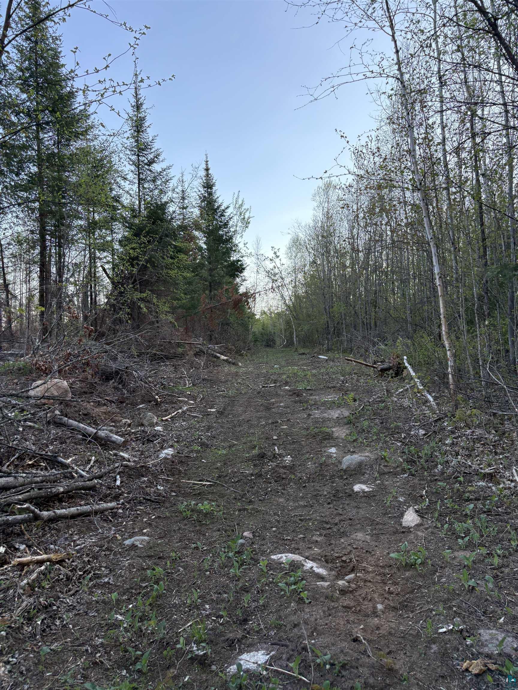 0 Mertig Road Glidden, WI 54527 - Photo 20 of 20 View of local wilderness
